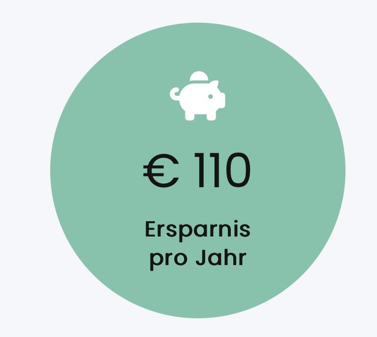 Ersparnis pro Jahr