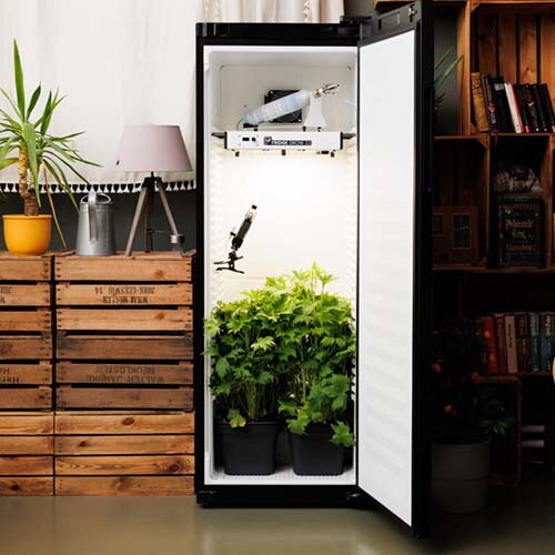 Growbox Komplettset Fridge Grow 2.0 Jetzt kaufen